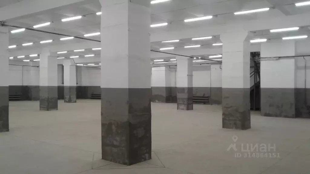 Склад в Новосибирская область, Новосибирск ул. Декабристов, 247к3 (665 ... - Фото 1