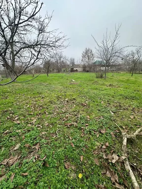 Дом в Орловка, Подгорный переулок (54.2 м) - Фото 1