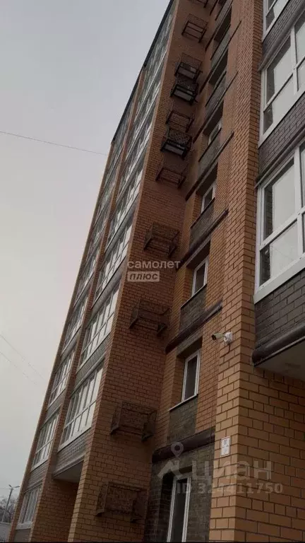 2-к кв. Амурская область, Благовещенск Высокая ул., 130 (59.4 м) - Фото 1