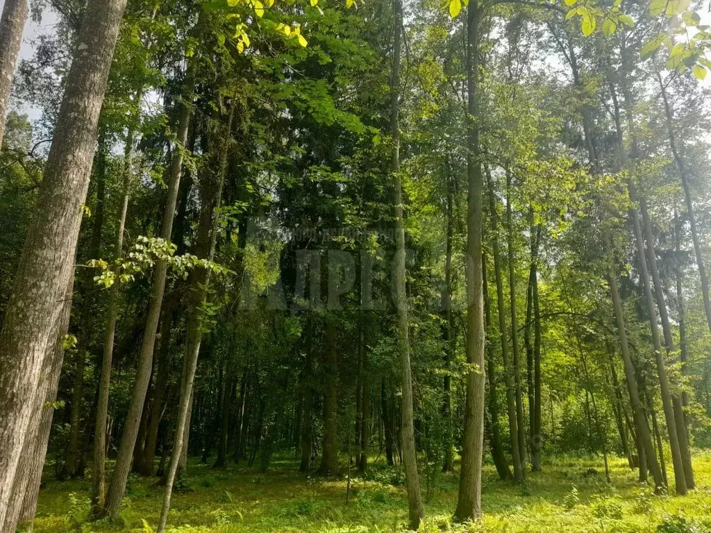 Участок в Калужская область, Жуковский район, Истье с/пос, д. Миньково ... - Фото 0
