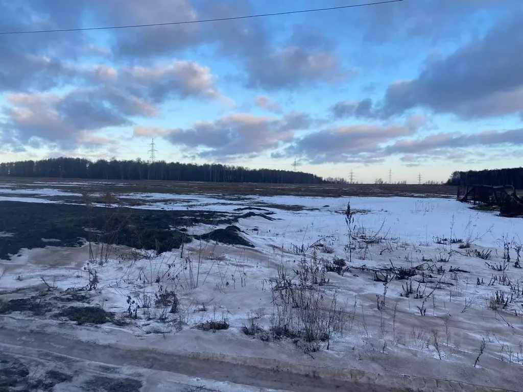 Участок в Московская область, Кашира городской округ, д. Аладьино ул. ... - Фото 0