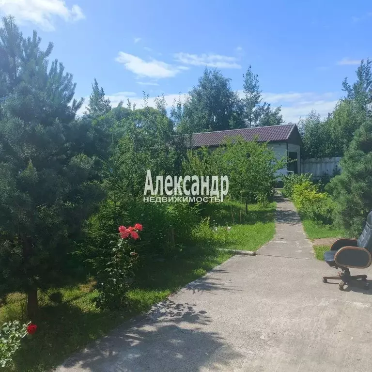Дом в Санкт-Петербург, Санкт-Петербург, Сестрорецк ул. Каугиевская, 55 ... - Фото 2