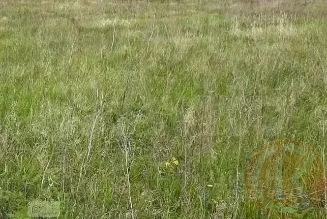 Участок в Крым, Симферопольский район, Николаевка пгт  (6.0 сот.) - Фото 2