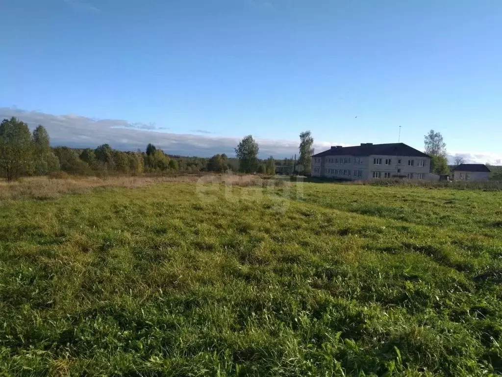 Дом в Тверская область, Рамешковский муниципальный округ, с. ... - Фото 2
