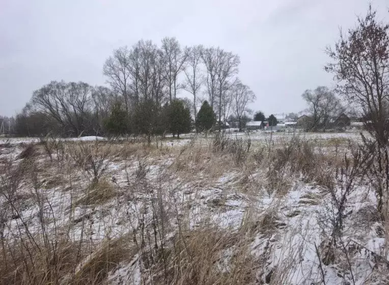 Участок в Московская область, Орехово-Зуевский городской округ, д. ... - Фото 1