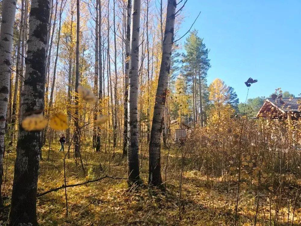 Участок в Иркутская область, Иркутский муниципальный округ, пос. ... - Фото 1