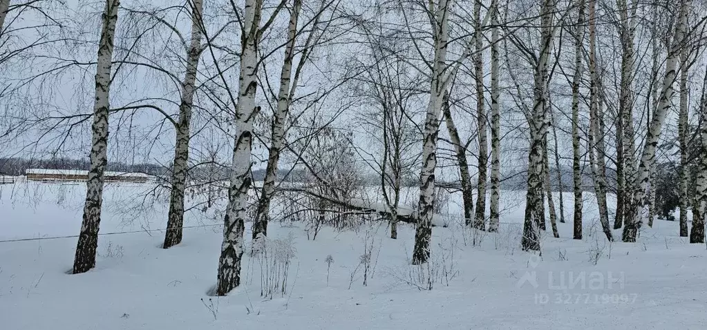 Участок в Московская область, Луховицы муниципальный округ, пос. ... - Фото 1