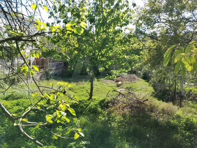Участок 6,6 сот. (СНТ, ДНП) - Фото 0