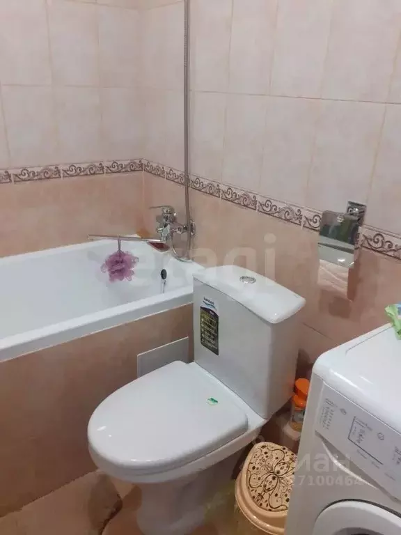 Студия Алтай, Майминский район, с. Майма ул. Ленина (21.6 м) - Фото 1