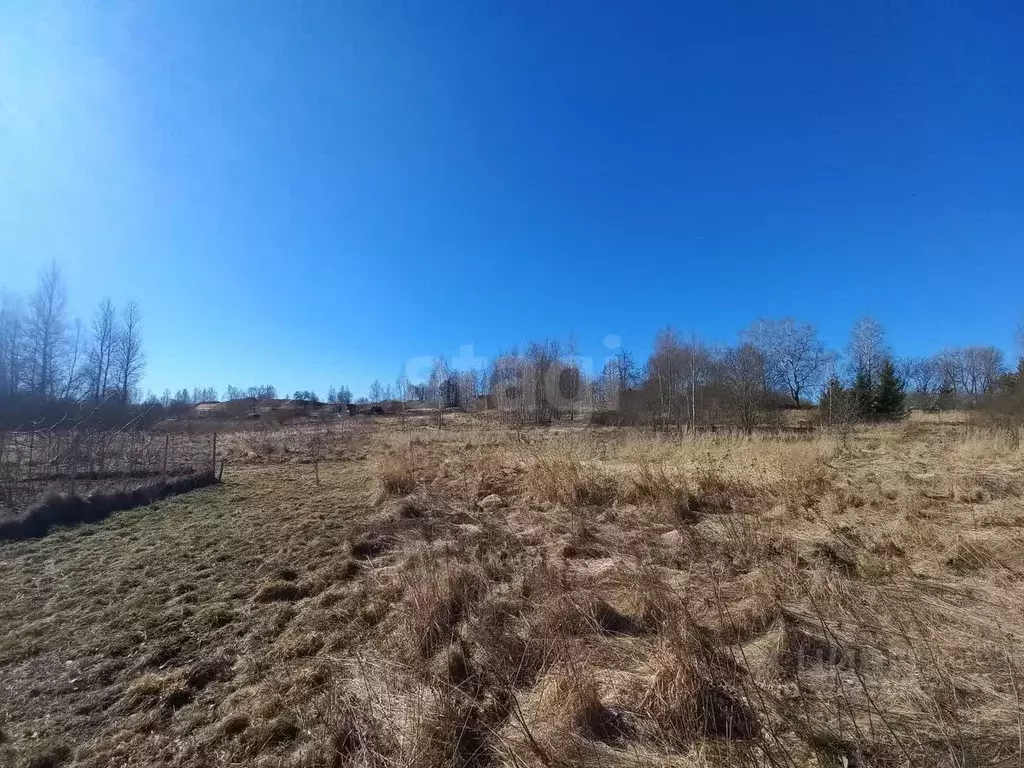 Участок в Смоленская область, Смоленский муниципальный округ, д. ... - Фото 1