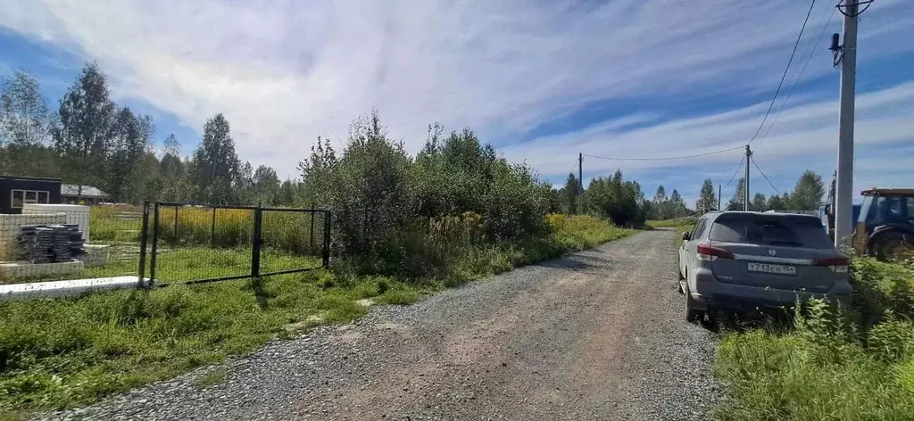 Участок в Новосибирская область, Новосибирский район, Барышевский ... - Фото 1