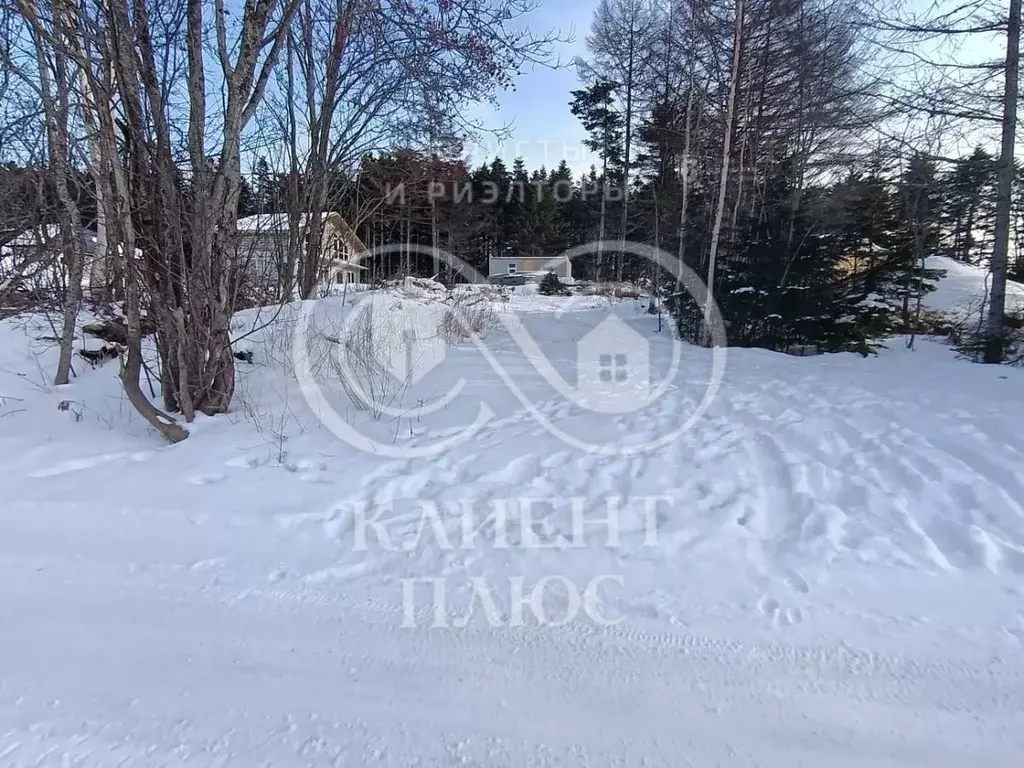 Участок в Сахалинская область, Корсаков Пролетарская ул. (10.0 сот.) - Фото 1