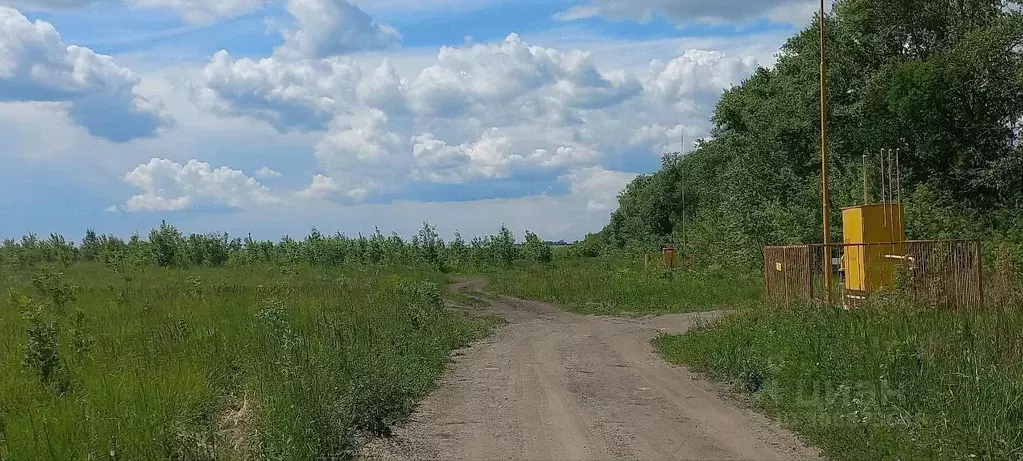 Участок в Пензенская область, с. Бессоновка, Семья эко-посёлок  (10.0 ... - Фото 0