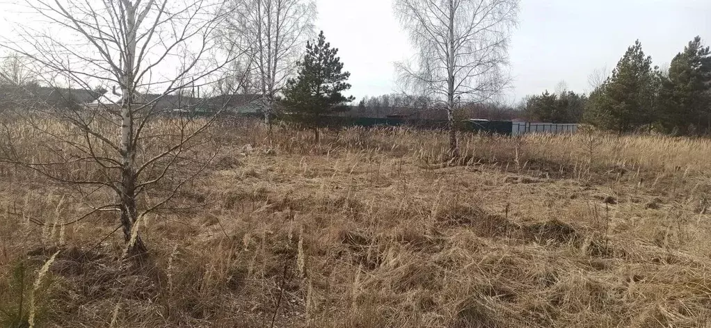 Участок в Московская область, Шатура муниципальный округ, д. ... - Фото 1