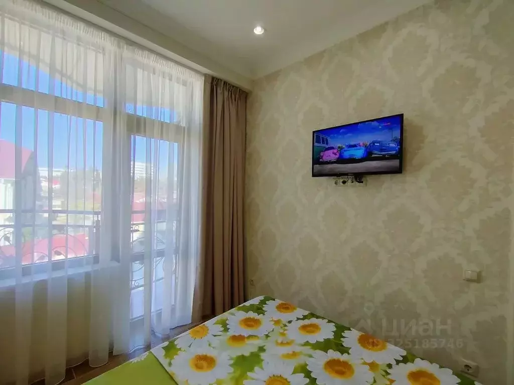 1-к кв. Краснодарский край, Сочи Адлер жилрайон, ул. Белорусская, 8 ... - Фото 2