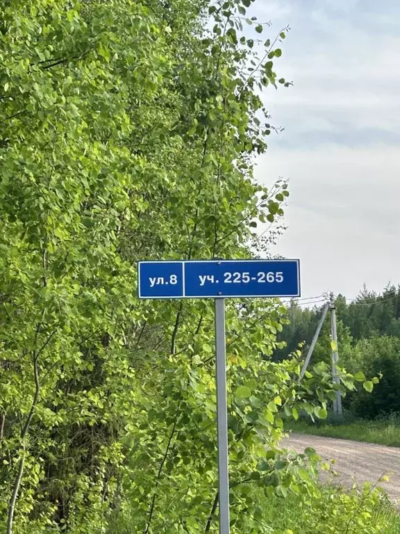 Участок в Кировская область, Кирово-Чепецкий район, Пасеговское с/пос, ... - Фото 1