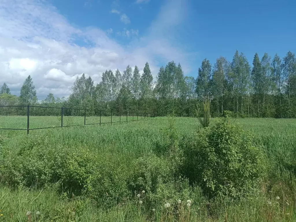 Участок в Новгородская область, Новгородский район, Савинское с/пос, ... - Фото 0