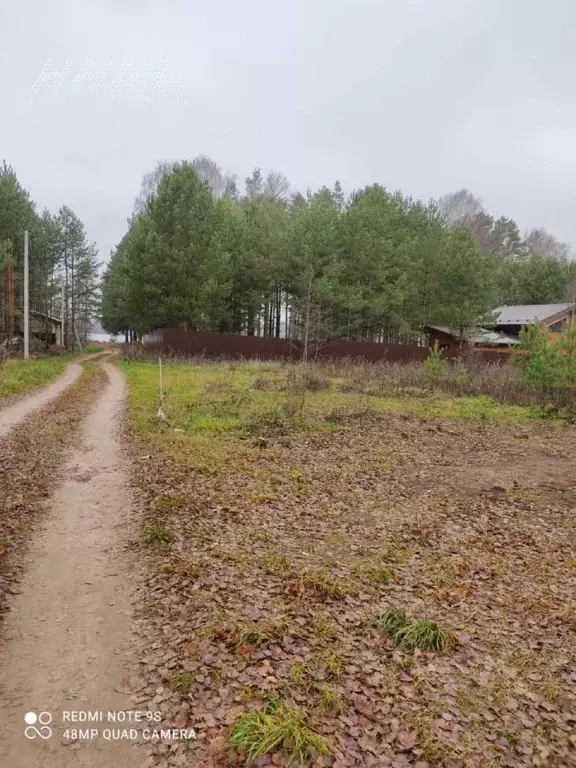 Участок в Нижегородская область, Сокольский городской округ, д. ... - Фото 0