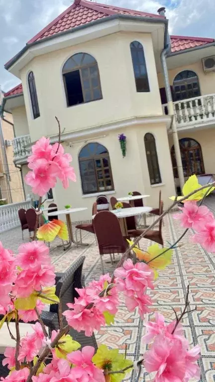 Комната Краснодарский край, Сочи Адлер жилрайон, ул. Аллейная (15.0 м) - Фото 2