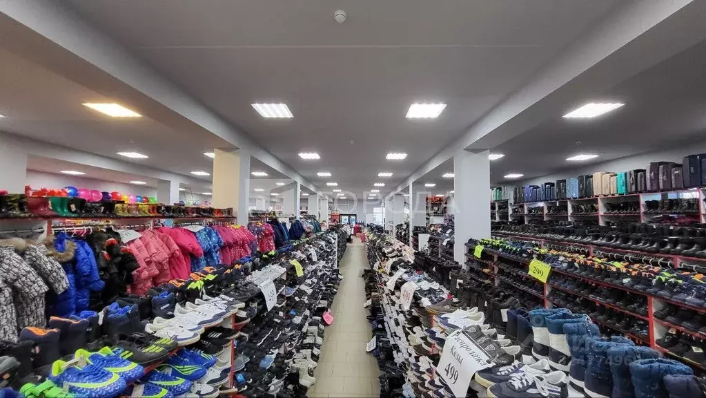 Помещение свободного назначения в Новосибирская область, Колывань рп ... - Фото 1