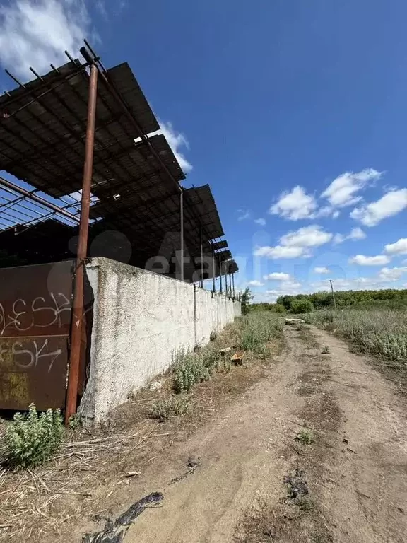 Участок 4,63 га (СНТ, ДНП) - Фото 1