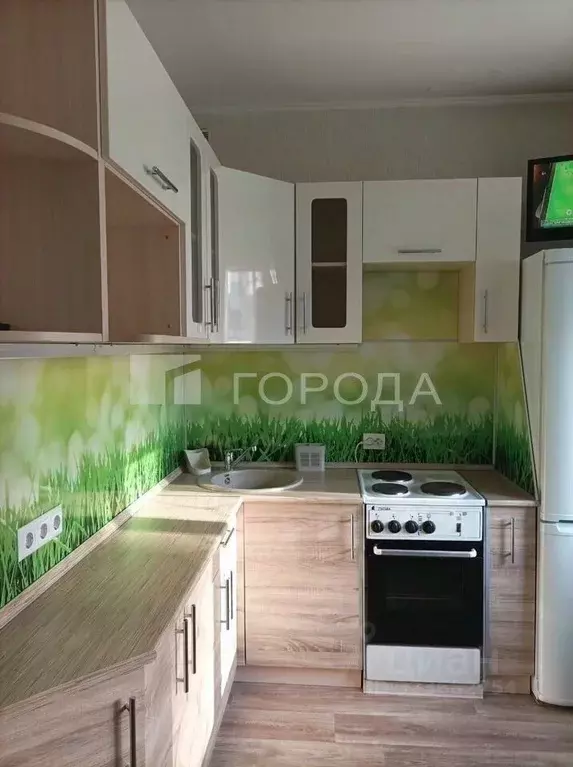 1-к кв. Новосибирская область, Новосибирск ул. Дениса Давыдова, 9 ... - Фото 1