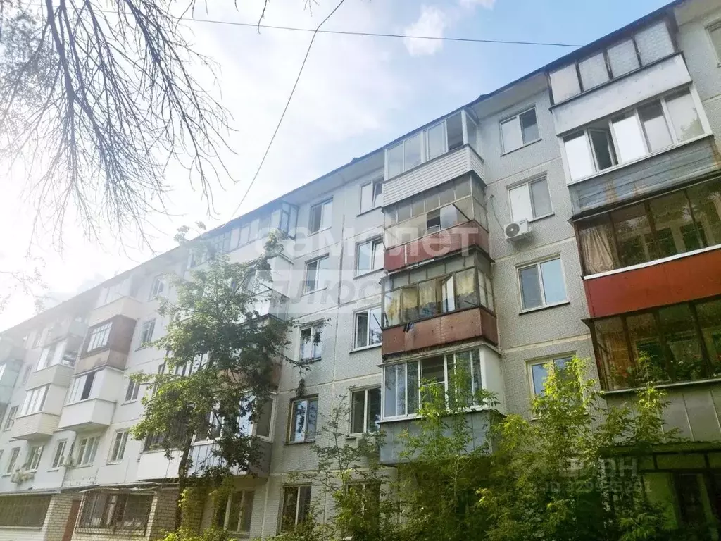 1-к кв. Брянская область, Брянск ул. Чернышевского, 62 (22.0 м) - Фото 1