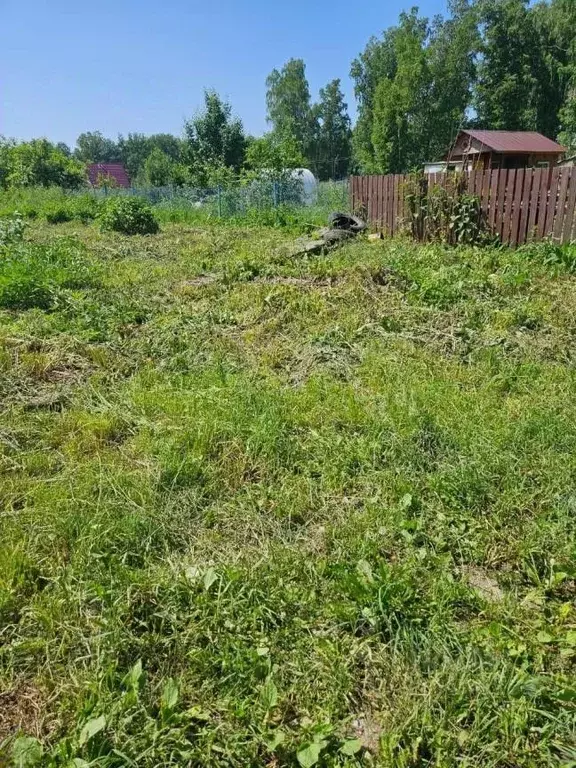 Участок в Новосибирская область, Новосибирский район, Барышевский ... - Фото 2