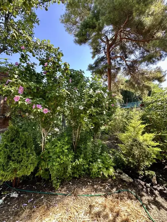 Дом в Ростовская область, Таганрог ул. Чехова, 97 (30 м) - Фото 1