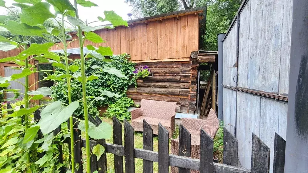 Дом в Свердловская область, Белоярский городской округ, с. Некрасово ... - Фото 1