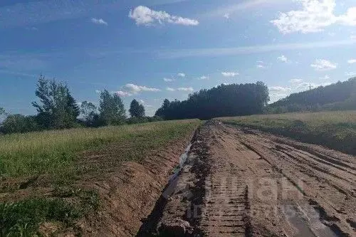 Участок в Новгородская область, Новгородский район, Ермолинское с/пос, ... - Фото 1