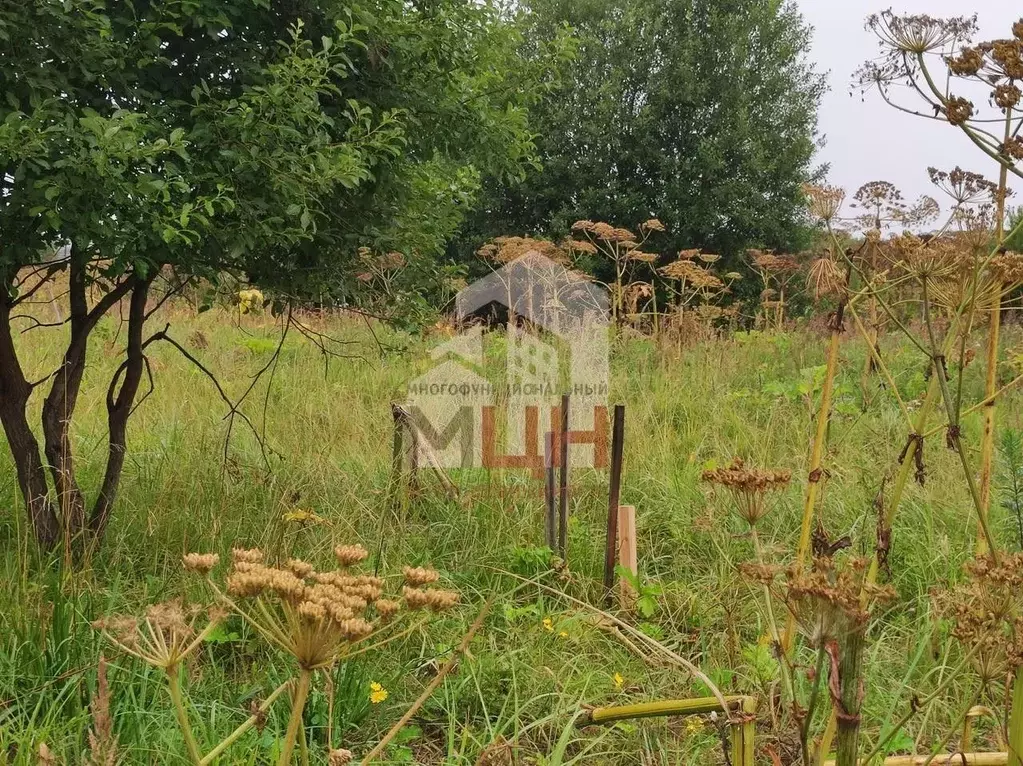 Участок в Тверская область, Конаковский муниципальный округ, д. ... - Фото 2