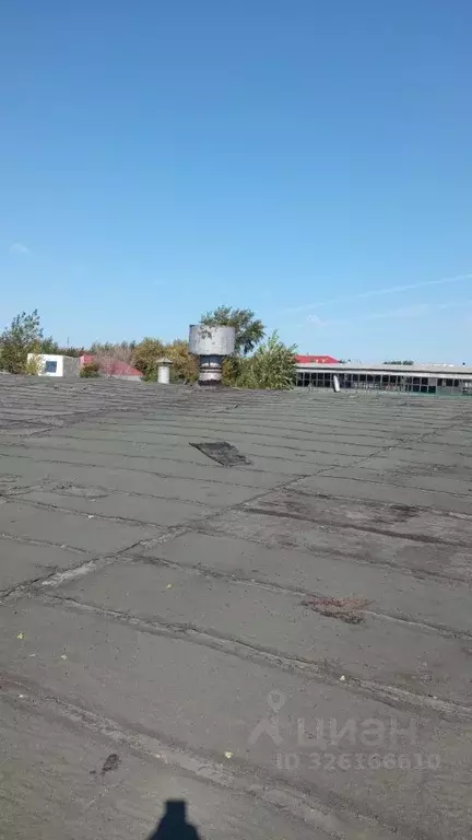 Помещение свободного назначения в Омская область, Омск ул. 10 лет ... - Фото 1