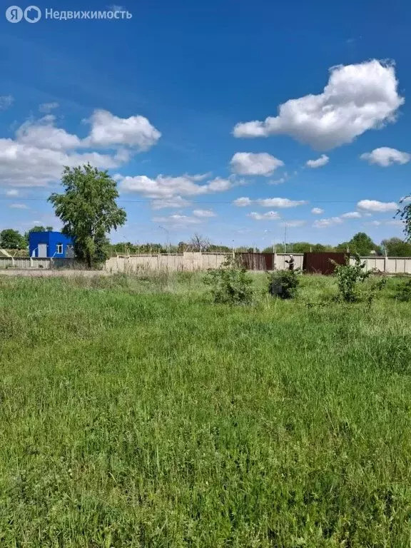 Участок в Верхнеподпольненское сельское поселение, хутор Алитуб, ... - Фото 1