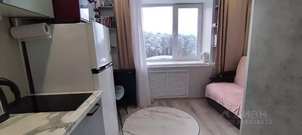 Студия Пермский край, Пермь Подлесная ул., 17 (13.1 м) - Фото 1