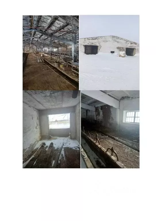 Помещение свободного назначения в Алтайский край, Немецкий ... - Фото 0