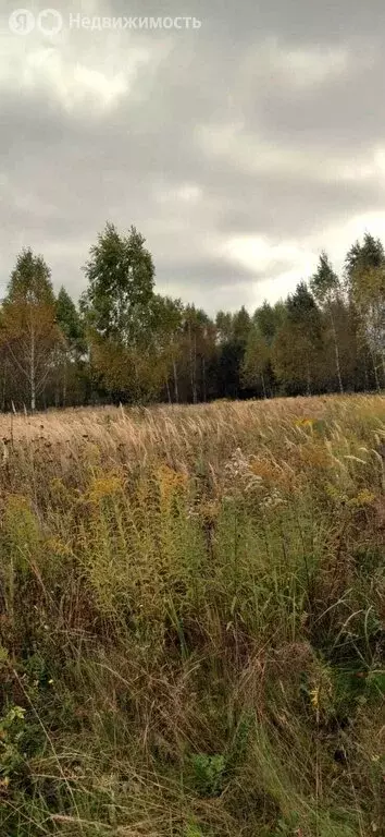 Участок в Шатово, улица Новое Шатово (300 м) - Фото 1