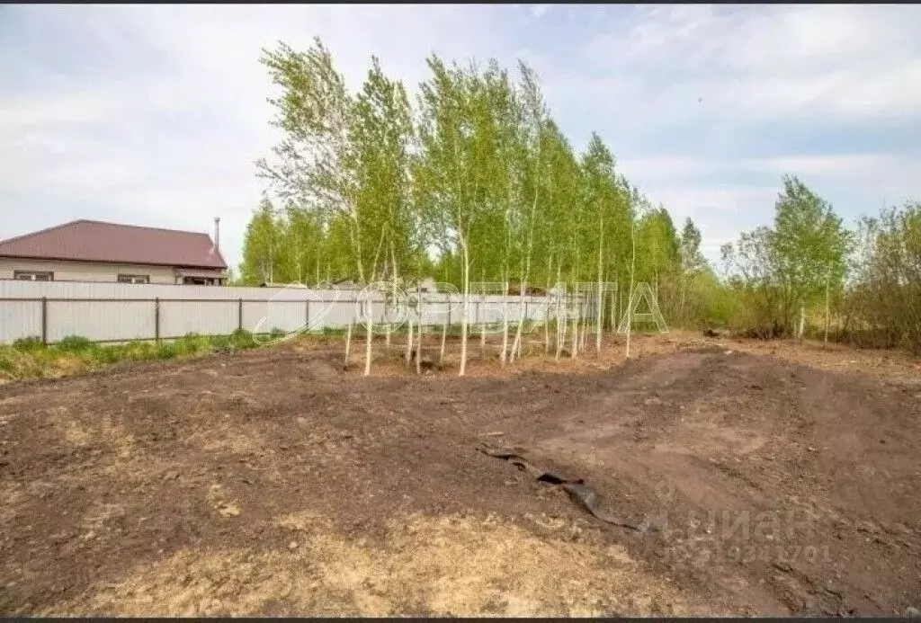 Участок в Тюменская область, Тюмень Садовое товарищество Липовый ... - Фото 1