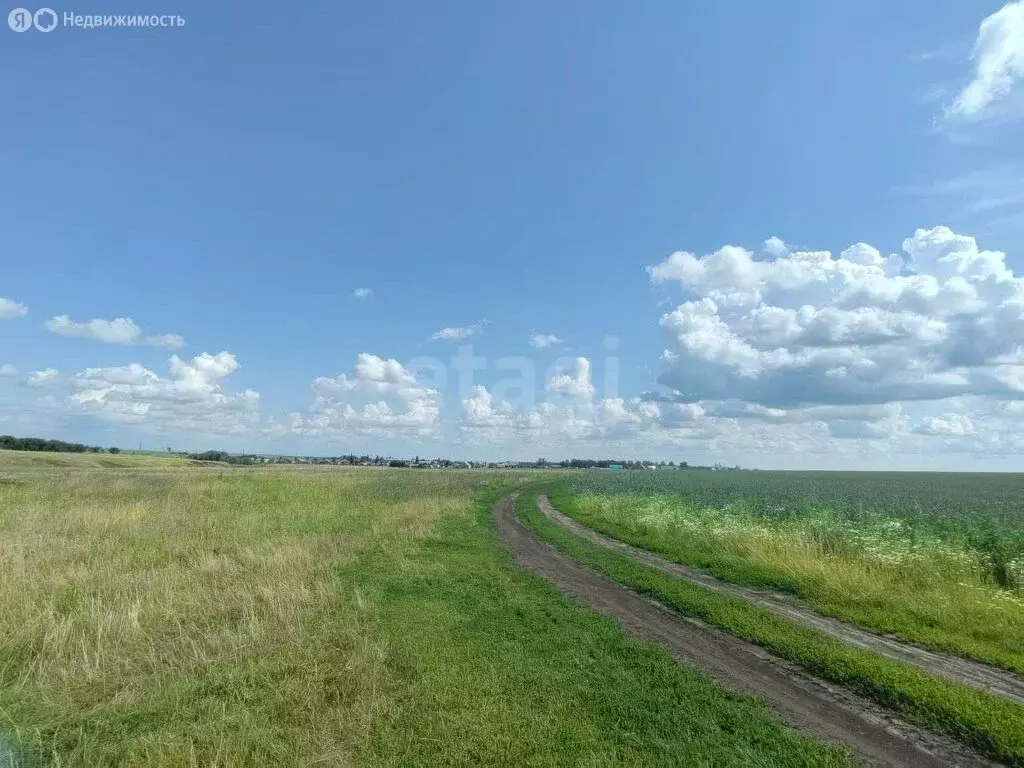 Участок в Октябрьское, улица Дружбы (24.63 м) - Фото 1