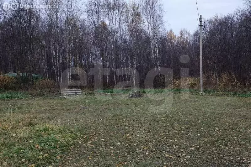 Участок в Псковский район, Ершовская волость, садоводческое ... - Фото 0