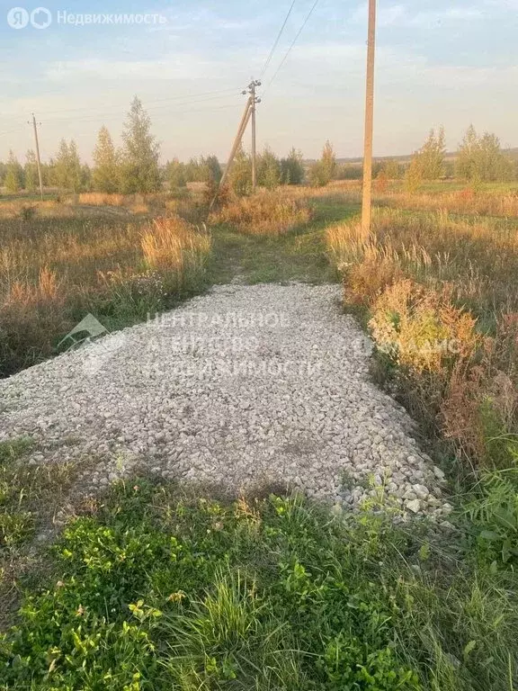 Участок в Рязанский муниципальный округ, деревня Рожок (25 м) - Фото 1