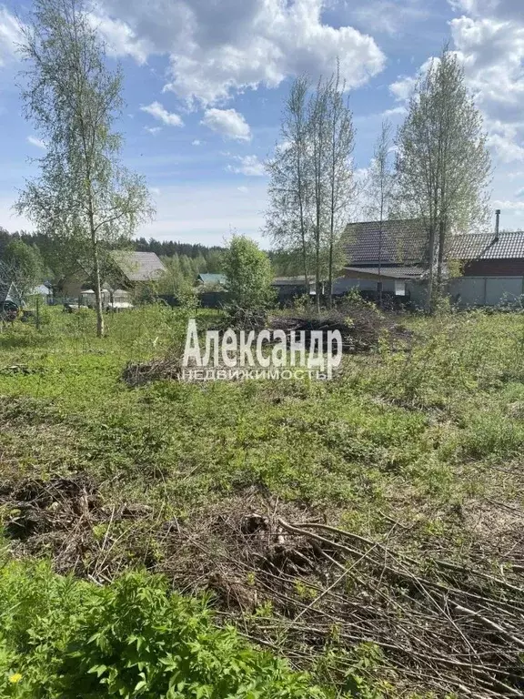 Участок в Ленинградская область, Приозерский район, Ларионовское ... - Фото 1