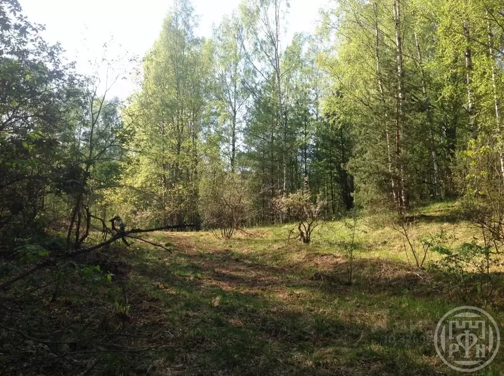 Участок в Ленинградская область, Всеволожский район, Куйвозовское ... - Фото 1