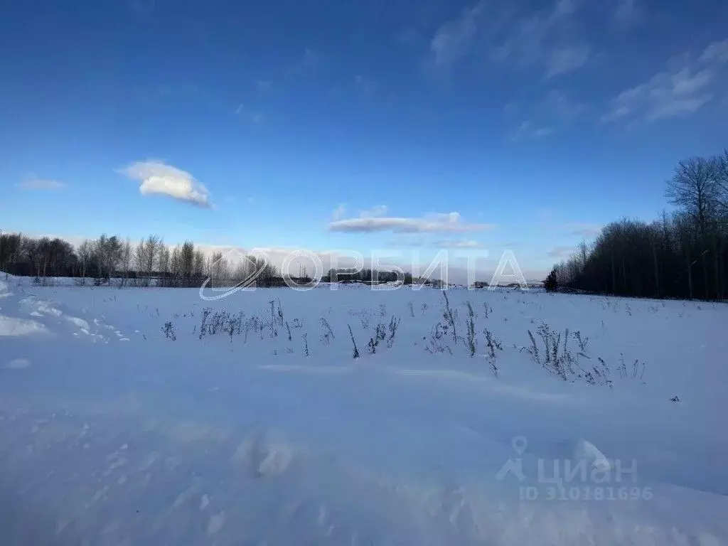 Участок в Тюменская область, Тюменский район, Новокаменский кп ул. ... - Фото 0