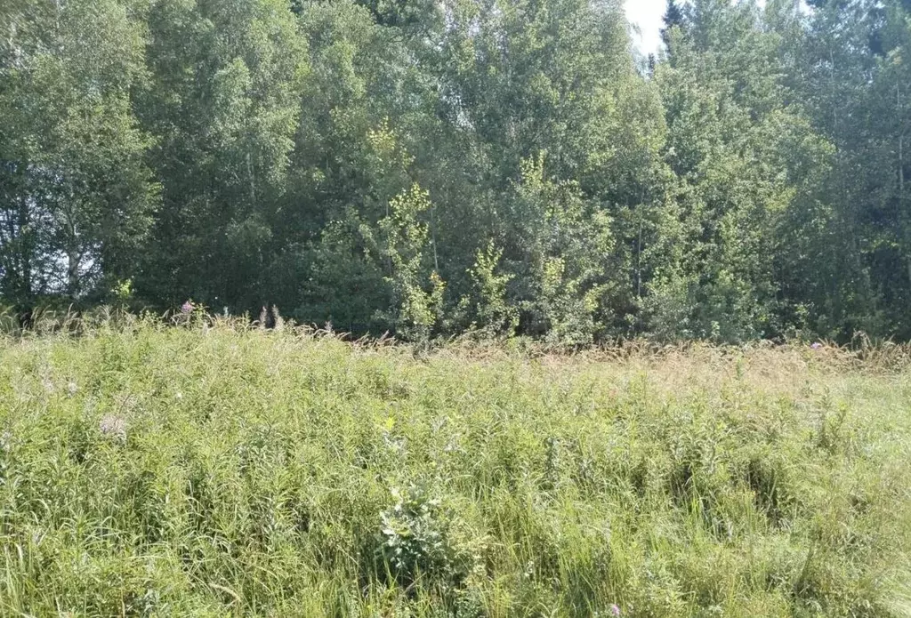 Участок в Московская область, Дмитровский муниципальный округ, д. ... - Фото 1