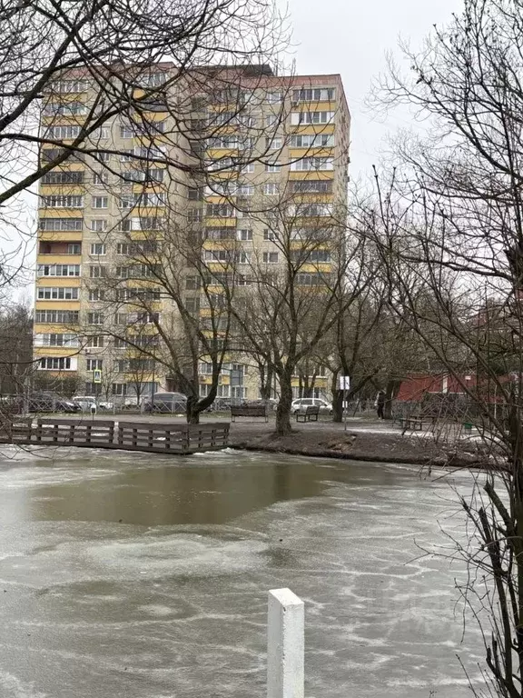 1-к кв. Московская область, Красногорск ул. Карбышева, 35/69 (34.4 м) - Фото 1