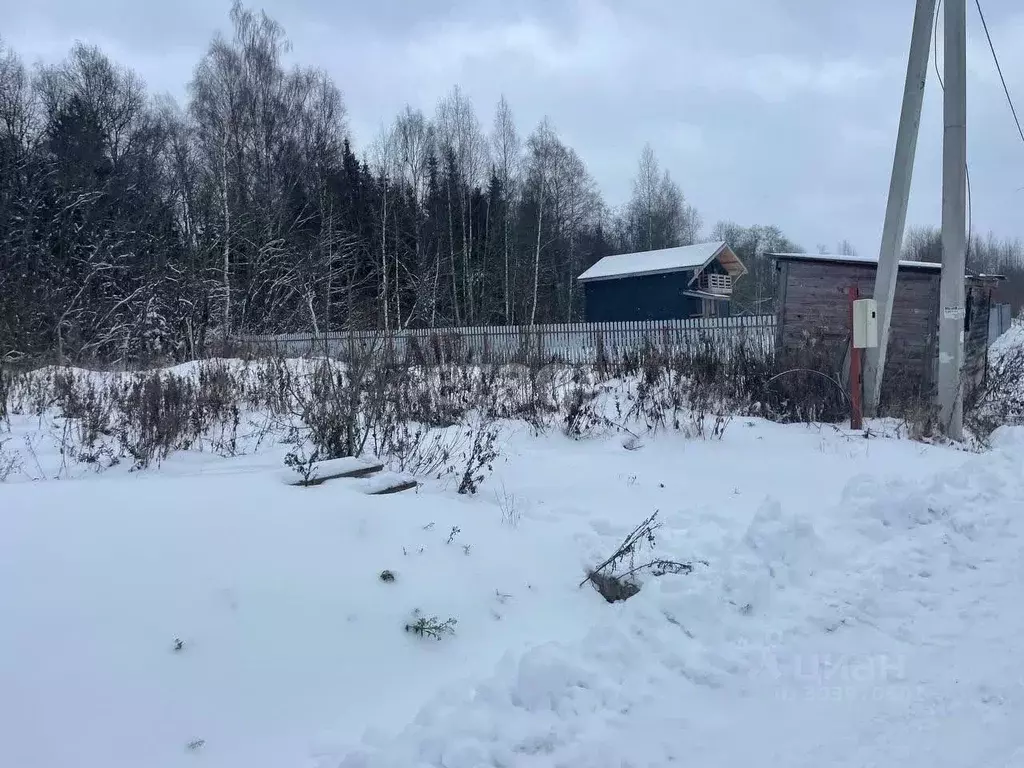 Участок в Московская область, Солнечногорск городской округ, Костино ... - Фото 1