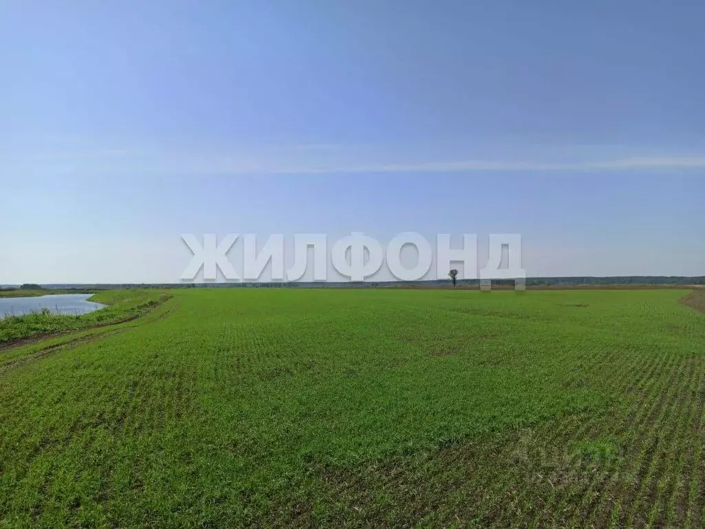 Участок в Томская область, Томск Источная ул. (2480.0 сот.) - Фото 1