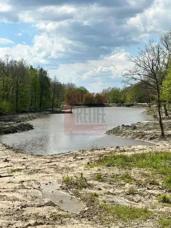 Участок в Калининградская область, Багратионовский муниципальный ... - Фото 1