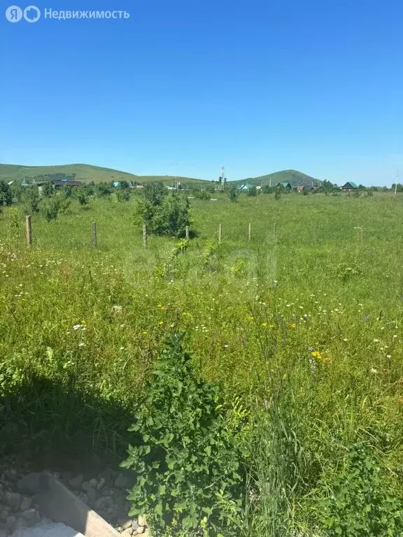 Участок в Айский сельсовет, территория Черемшанка (15 м) - Фото 0